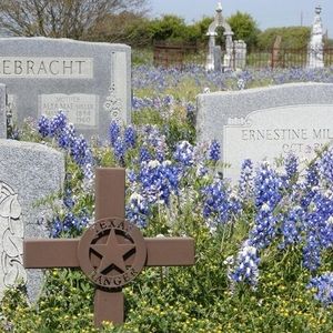 Meet your Posher, Connie